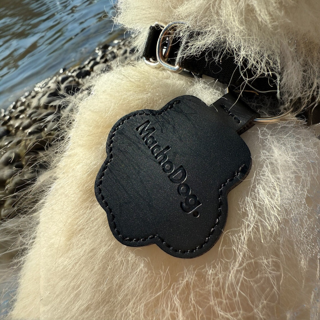 MachoDog™ - Loyal Paws